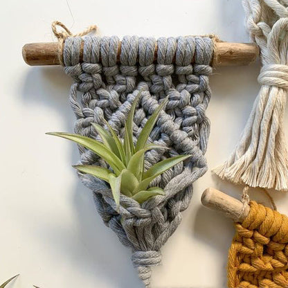 Mini Macrame Succulent Hanging Plant Holder