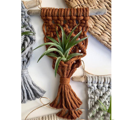 Mini Macrame Succulent Hanging Plant Holder