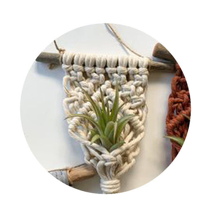 Mini Macrame Succulent Hanging Plant Holder