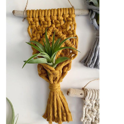 Mini Macrame Succulent Hanging Plant Holder