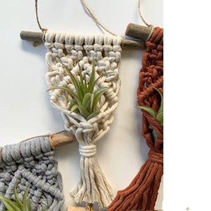 Mini Macrame Succulent Hanging Plant Holder